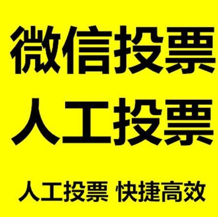甘南藏族自治州投票活动拉票能被查出来吗？如何操作能不被发现？